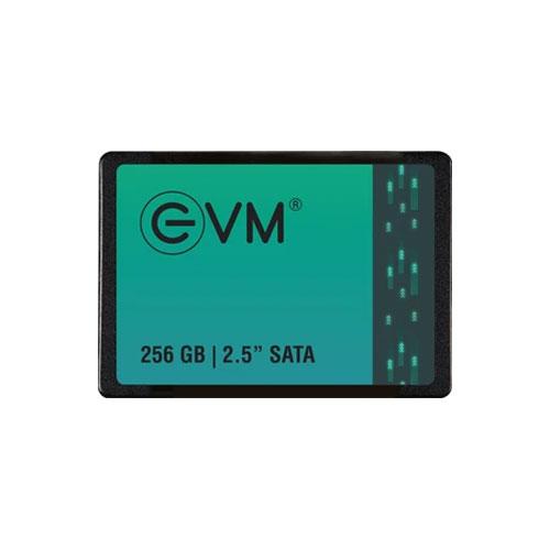 EVM 256GB Internal SATA Memory price hyderabad