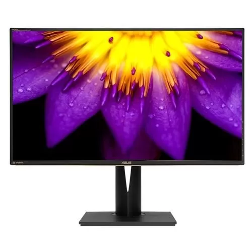 ASUS ProArt PA329Q Professional Monitor price hyderabad