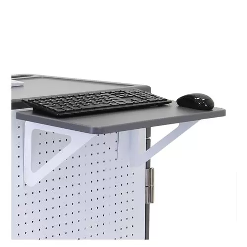 Ergotron Pegboard Shelf price hyderabad